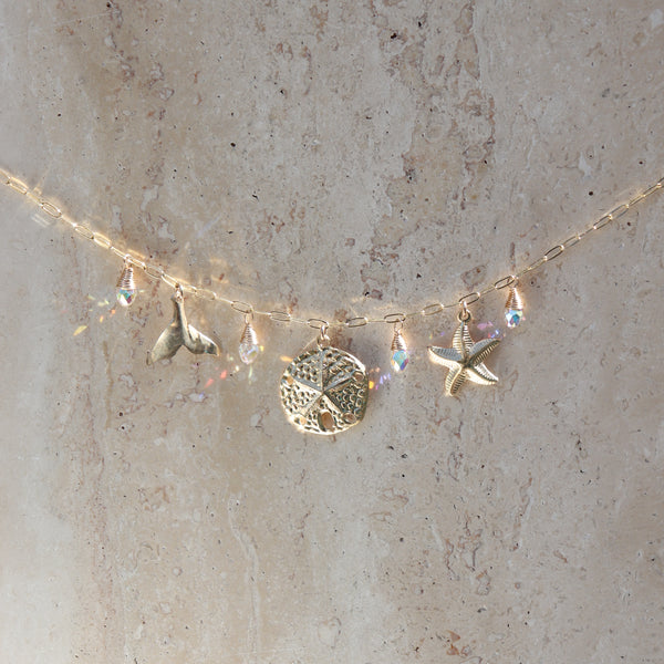 The Marisol Chain